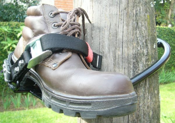 TREPADORES - Imagen 4