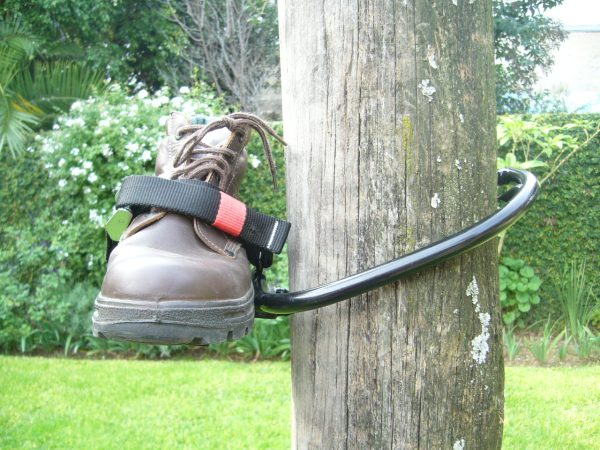 TREPADORES - Imagen 5